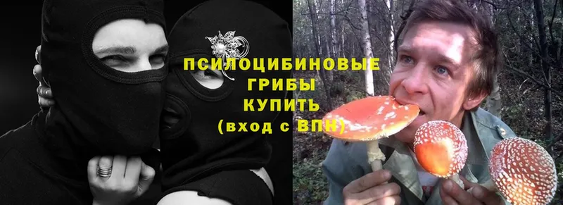 Псилоцибиновые грибы Magic Shrooms  купить  сайты  Зарайск 